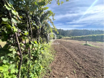 Terreno Agricola ou Rústico para Venda em Abade de Neiva