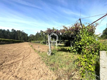 Terreno Agricola ou Rústico para Venda em Abade de Neiva
