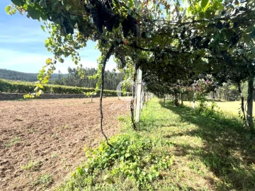 Terreno Agricola ou Rústico para Venda em Abade de Neiva
