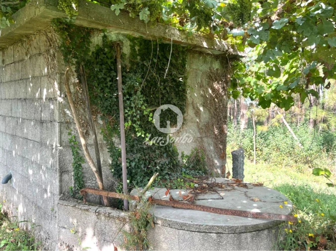 Terreno Agricola ou Rústico para Venda em Abade de Neiva Foto 10