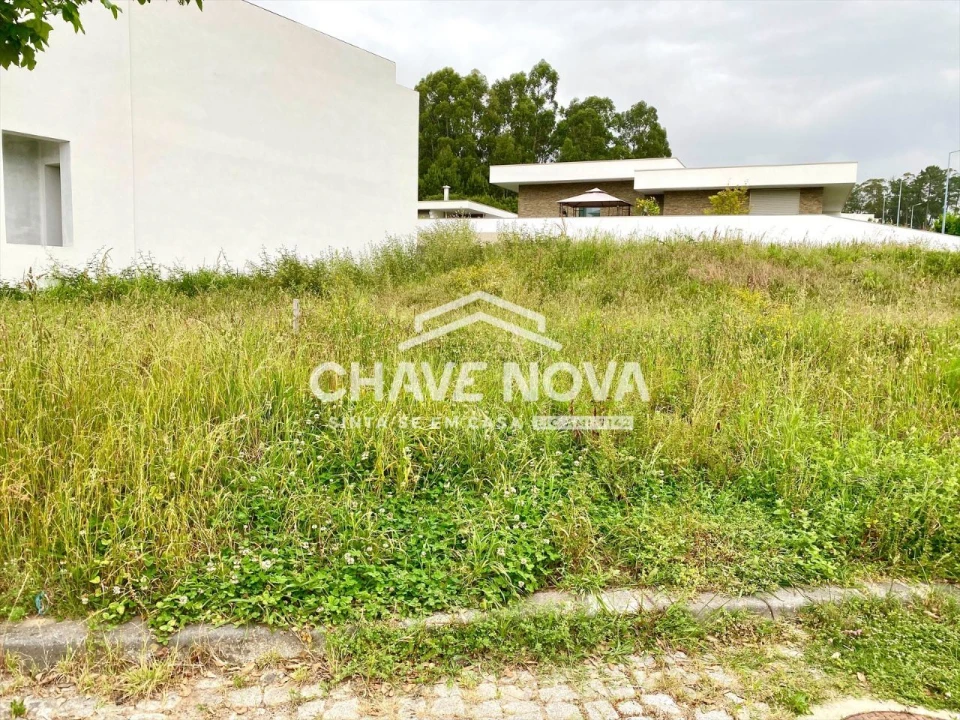 Terreno para Venda em Argoncilhe Foto 6