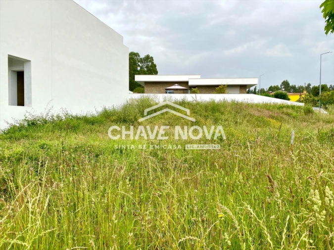 Terreno para Venda em Argoncilhe Foto 4