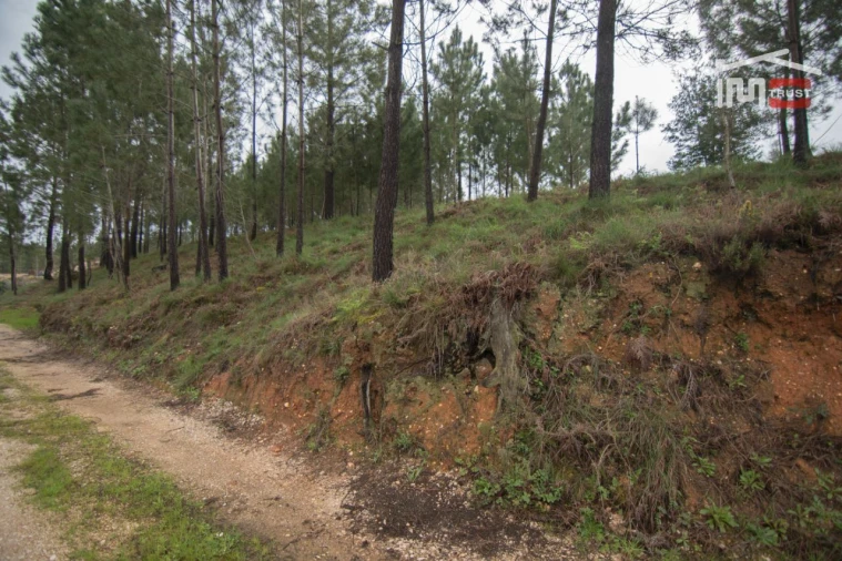 Moradia T3 para Venda em Alburitel Foto 8