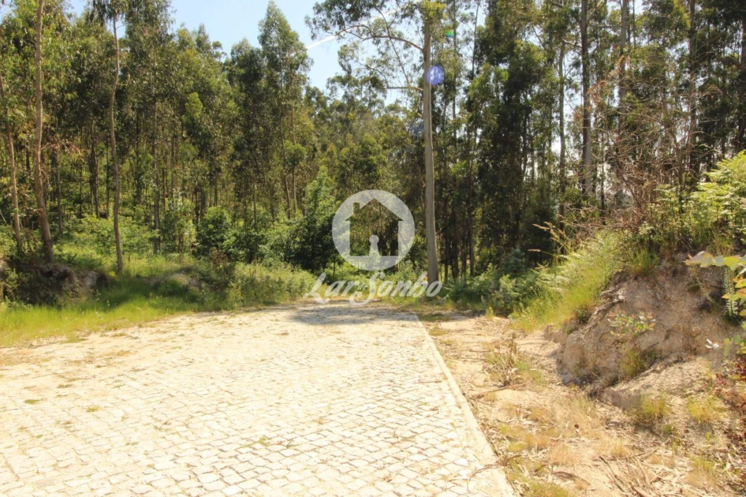 Terreno Agricola ou Rústico para Venda em Arões (São Romão) Foto 2