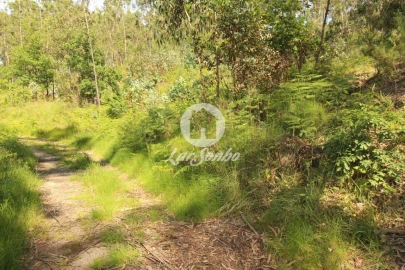 Terreno Agricola ou Rústico para Venda em Arões (São Romão)