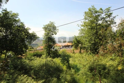 Terreno Agricola ou Rústico para Venda em Arões (São Romão)