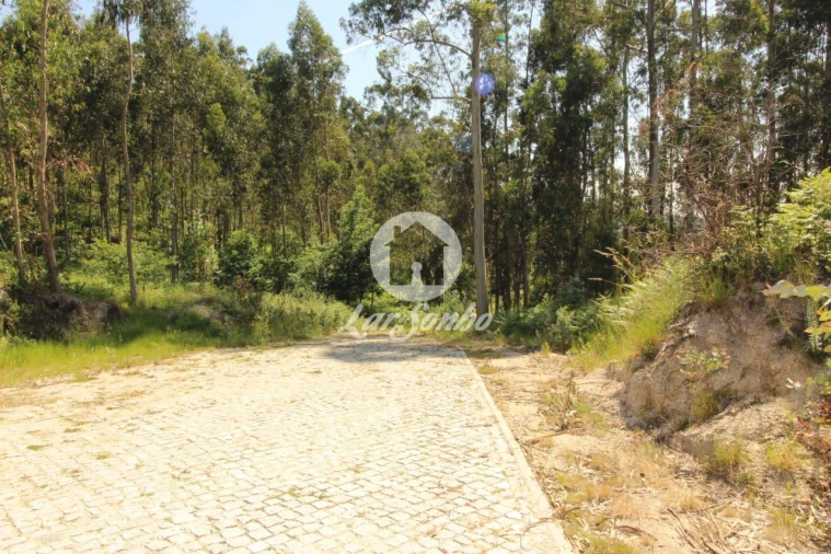 Terreno Agricola ou Rústico para Venda em Arões (São Romão) Foto 2