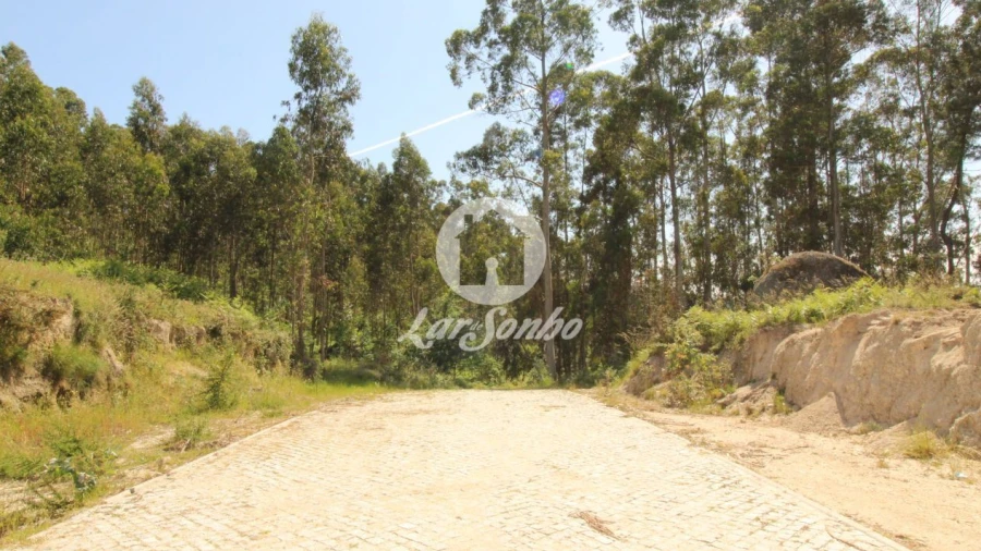 Terreno Agricola ou Rústico para Venda em Arões (São Romão)