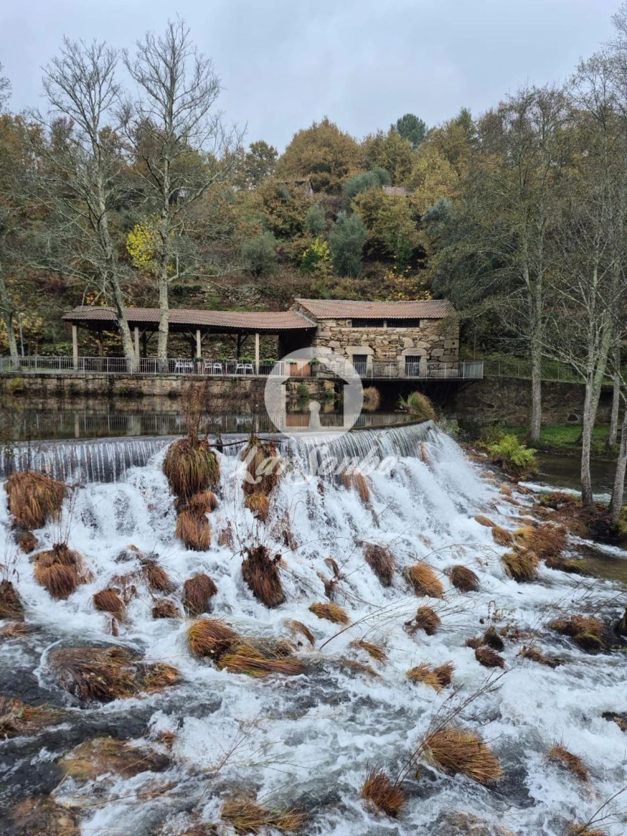 Moradia T1 para Venda em Cerva e Limões Foto 8