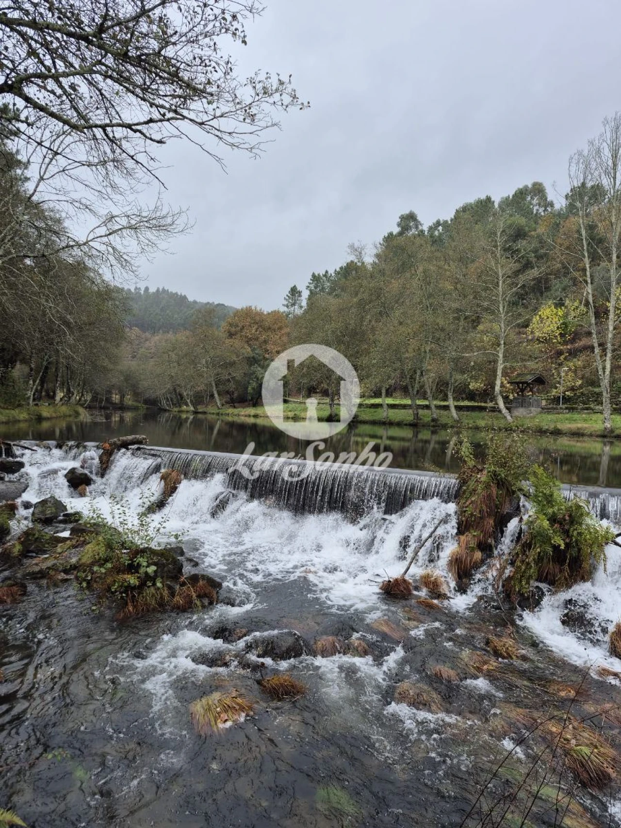 Moradia T1 para Venda em Cerva e Limões Foto 17