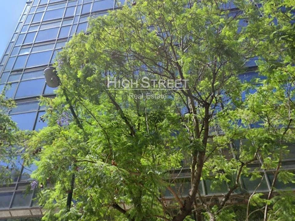 Escritório para Arrendamento em Avenidas Novas Foto 2