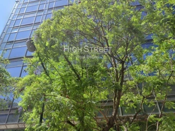 Escritório para Arrendamento em Avenidas Novas