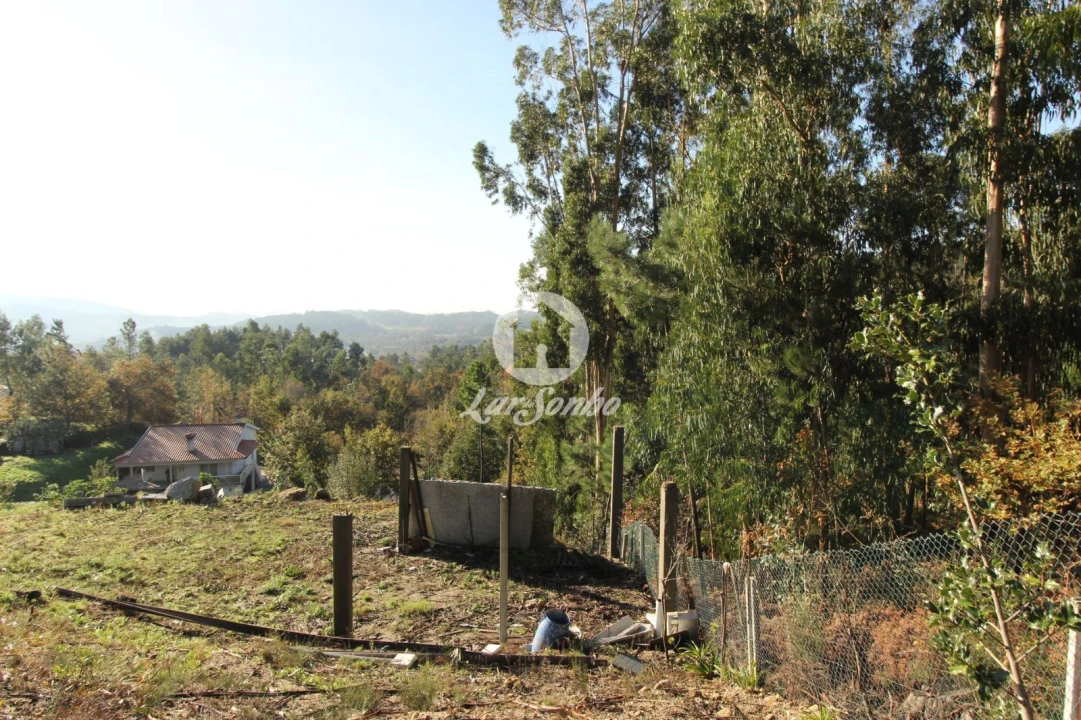 Terreno para Venda em Arões (São Romão) Foto 6