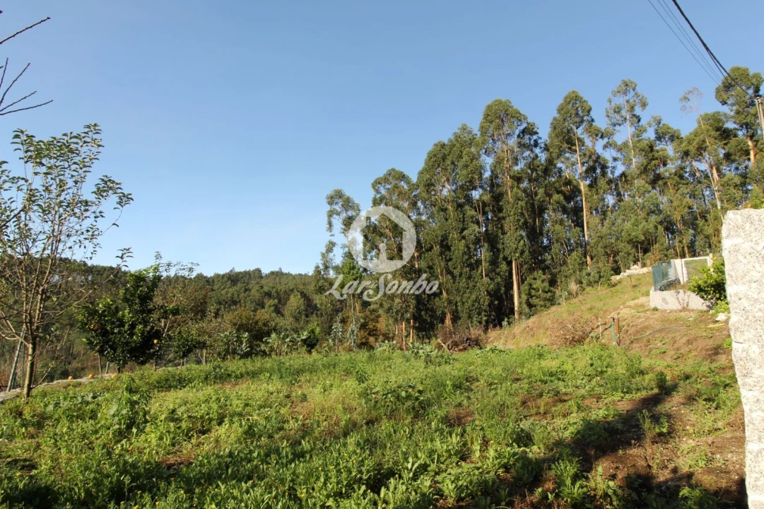 Terreno para Venda em Arões (São Romão) Foto 1