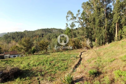 Terreno para Venda em Arões (São Romão)