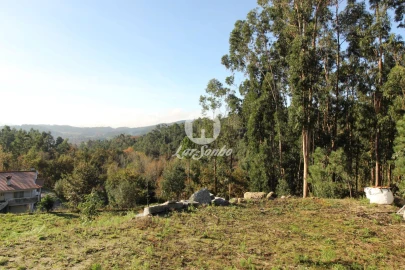 Terreno para Venda em Arões (São Romão)