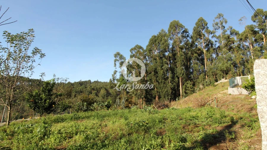 Terreno para Venda em Arões (São Romão)