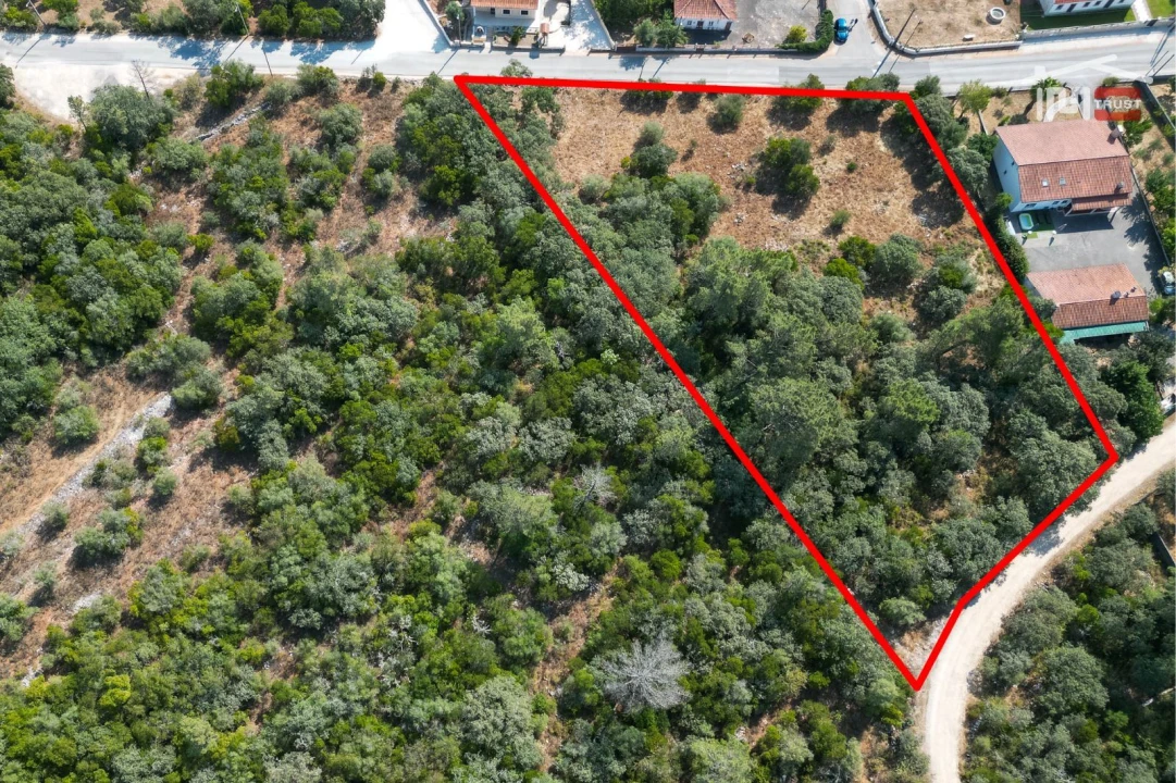 Terreno Agricola ou Rústico para Venda em Fatima Foto 3