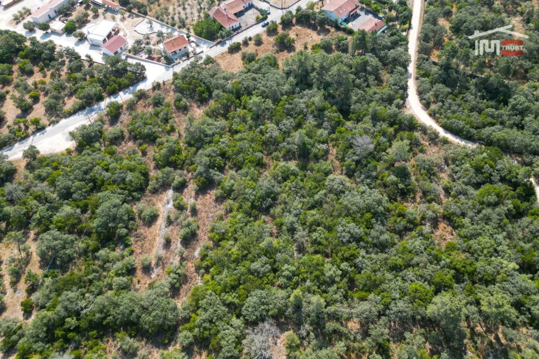 Terreno Agricola ou Rústico para Venda em Fatima Foto 5