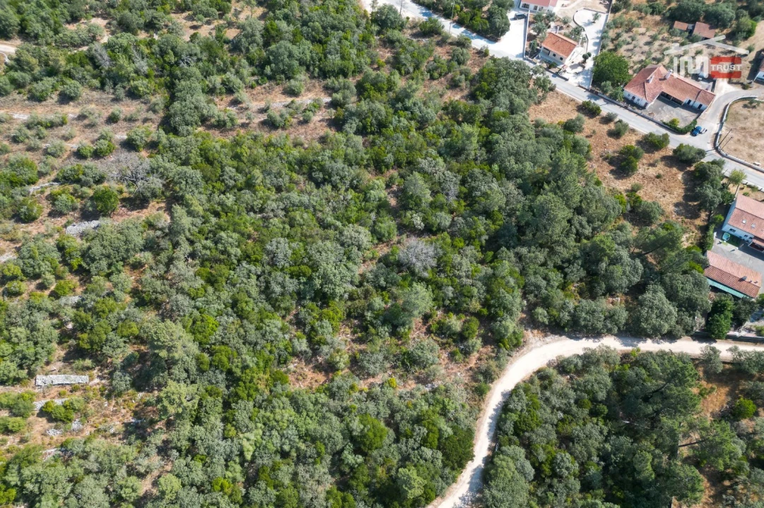 Terreno Agricola ou Rústico para Venda em Fatima Foto 6