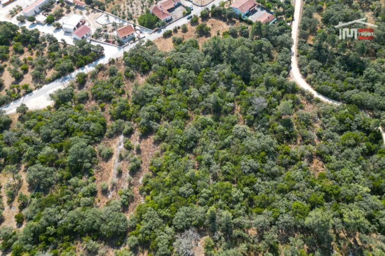 Terreno Agricola ou Rústico para Venda em Fatima Foto 5