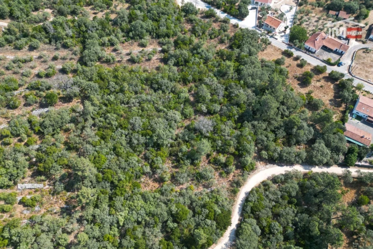 Terreno Agricola ou Rústico para Venda em Fatima Foto 6