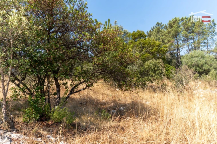 Terreno Agricola ou Rústico para Venda em Fatima Foto 8