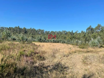 Terreno Agricola ou Rústico para Venda em Valongo