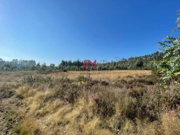 Terreno Agricola ou Rústico para Venda em Valongo