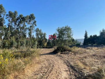 Terreno Agricola ou Rústico para Venda em Valongo
