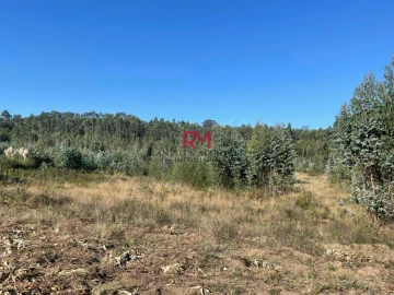 Terreno Agricola ou Rústico para Venda em Valongo