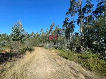 Terreno Agricola ou Rústico para Venda em Valongo