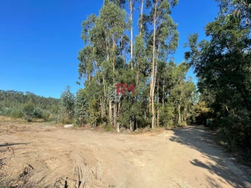 Terreno Agricola ou Rústico para Venda em Valongo