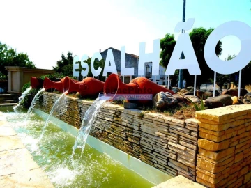 Terreno Agricola ou Rústico para Venda em Escalhão