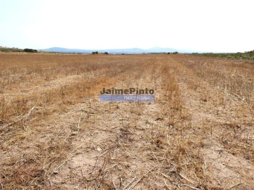 Terreno Agricola ou Rústico para Venda em Escalhão