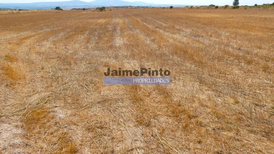 Terreno Agricola ou Rústico para Venda em Escalhão
