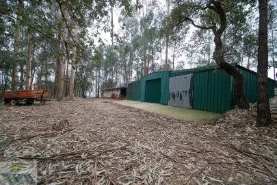 Quinta T11 para Venda em O. Azeméis, Riba-Ul, Ul, Macinhata Seixa, Madail
