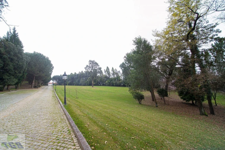 Quinta T11 para Venda em O. Azeméis, Riba-Ul, Ul, Macinhata Seixa, Madail Foto 2