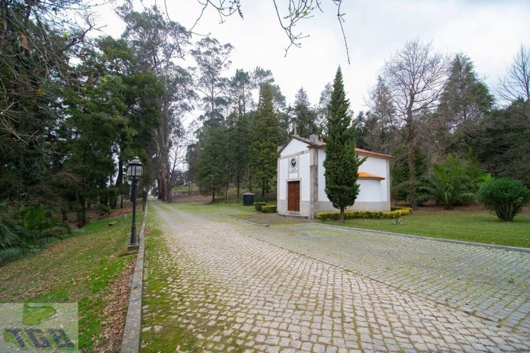 Quinta T11 para Venda em O. Azeméis, Riba-Ul, Ul, Macinhata Seixa, Madail Foto 16