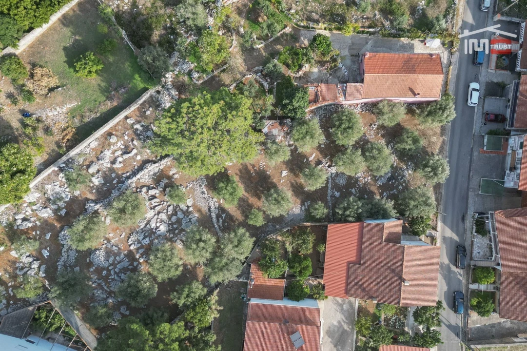 Terreno P/ Prédio para Venda em Mira de Aire Foto 8