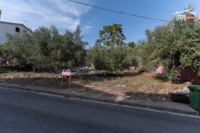Terreno P/ Prédio para Venda em Mira de Aire