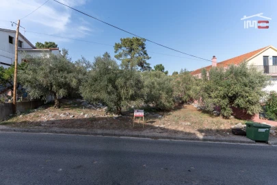 Terreno P/ Prédio para Venda em Mira de Aire