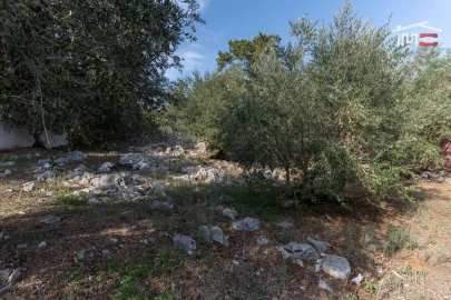 Terreno P/ Prédio para Venda em Mira de Aire