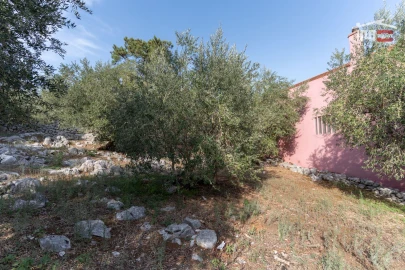 Terreno P/ Prédio para Venda em Mira de Aire