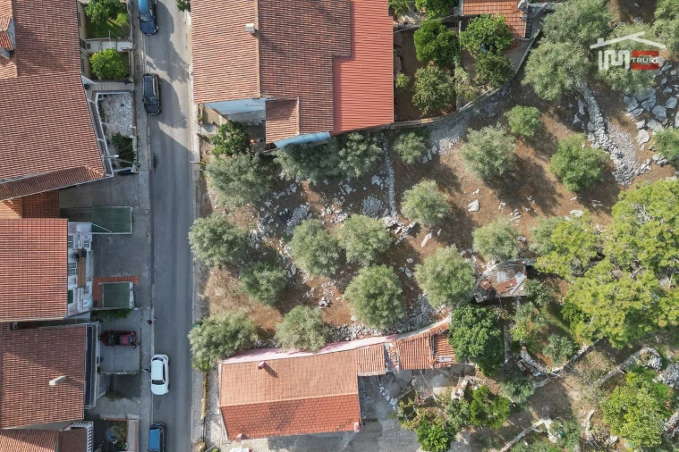 Terreno P/ Prédio para Venda em Mira de Aire Foto 10
