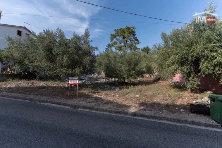 Terreno P/ Prédio para Venda em Mira de Aire Foto 2