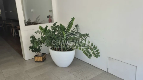 Negócio para Trespasse em Cedofeita, Santo Ildefonso, Sé, Miragaia, São Nicolau e Vitória