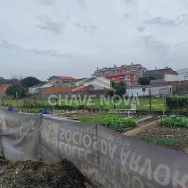 Terreno para Venda em Canelas