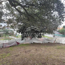 Terreno para Venda em Canelas