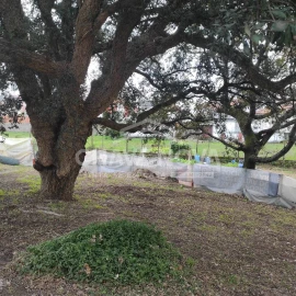 Terreno para Venda em Canelas